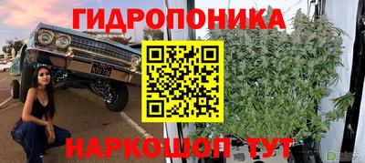 прущие грибы Кунгур
