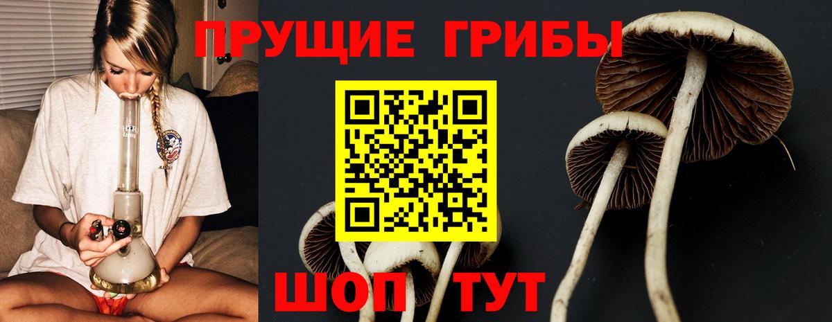 Псилоцибиновые грибы MAGIC MUSHROOMS Гусиноозёрск